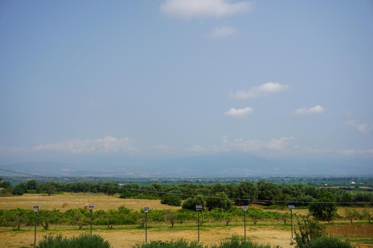 Agriturismo Casacchella マリーナ・ディ・シーバリ エクステリア 写真