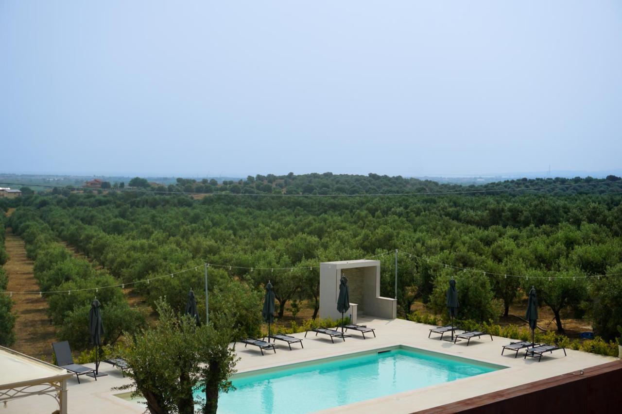 Agriturismo Casacchella マリーナ・ディ・シーバリ エクステリア 写真